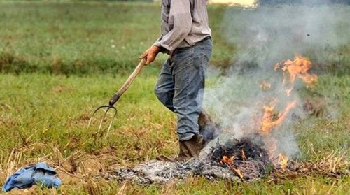 Abbruciamenti residui vegetali